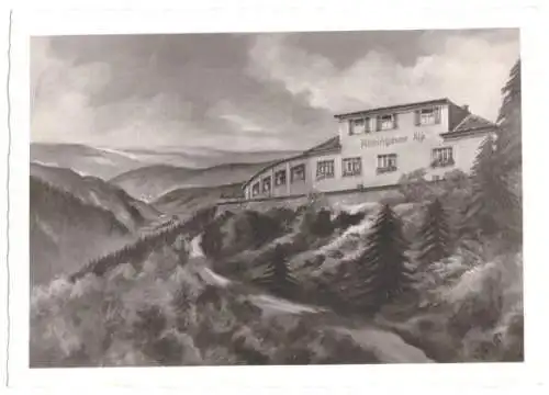 AK, Presburg i. Rheingau, Gasth. "Rheingauer Alp", 1958