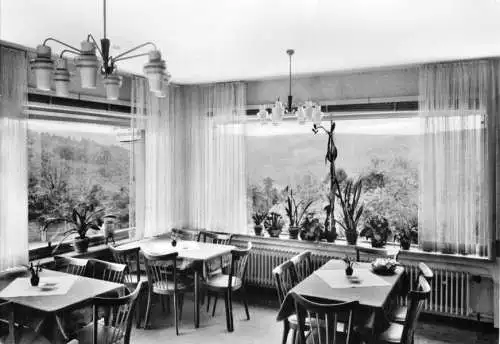 AK, Pfaffenrot Schwarzw., Café - Pension Weingärtner, Gastraum, um 1965