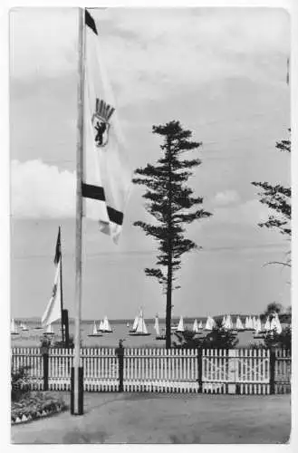 AK, Bad Saarow, Scharmützelsee, Regatta, 1964