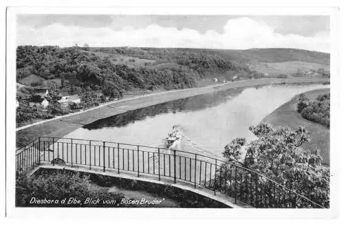 AK, Diesbar Elbe, Blick vom "Bösen Bruder", 1951