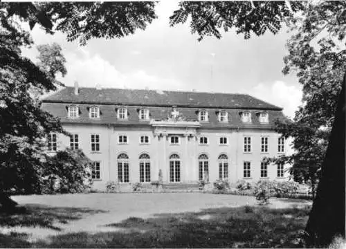 Ansichtskarte, Mosigkau, Schloß Mosigkau, 1966