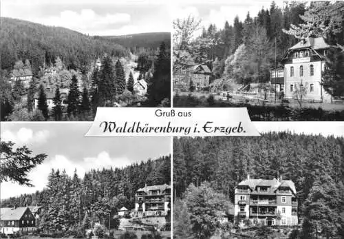 Ansichtskarte, Waldbärenburg Erzgeb., vier Abb., 1966