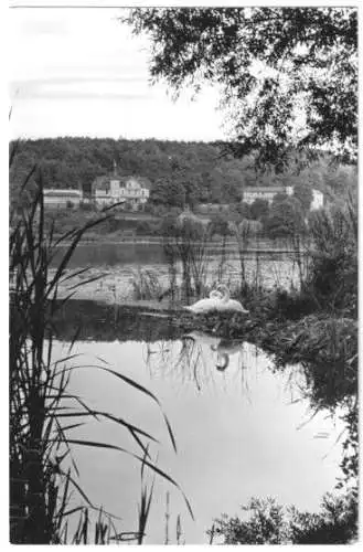 Ansichtskarte, Buckow Märk. Schweiz, Am Griepensee, 1965