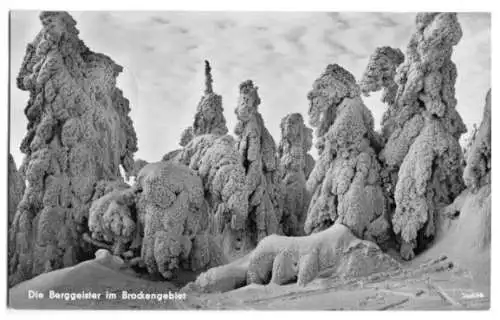 Ansichtskarte, Brocken Harz, Berggeister im Brockengebiet, 1957