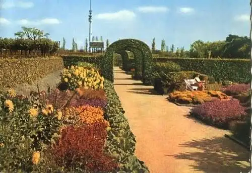 AK, Dortmund, Rosenterrasse, Fernmeldeturm, 1969