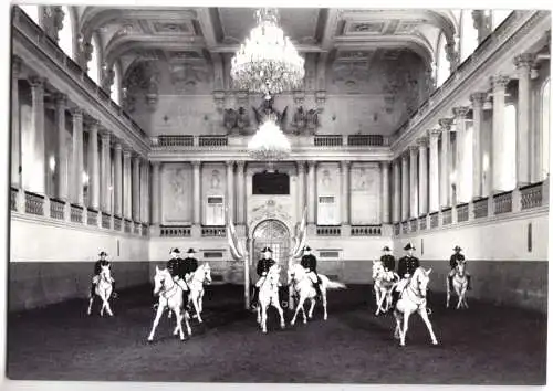 AK, Wien, Hofburg, Spanische Reitschule, Schulquadrille, um 1966