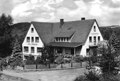 Ansichtskarte, Willingen - Stryck, Haus Friederike, 1968