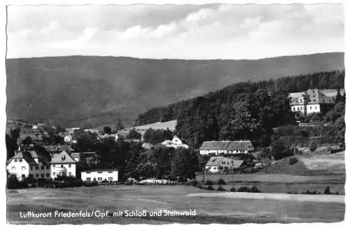 AK, Friedenfels Opf., Teilansicht mit Schloß und Steinwald, 1961