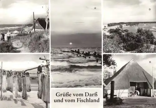 Ansichtskarte, Gruß vom Darß und vom Fischland, fünf Abb., 1984