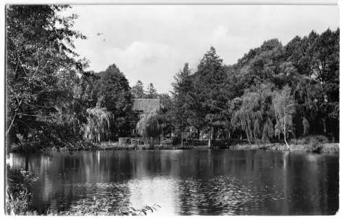 Ansichtskarte, Gardelegen, Partie am Stadtgraben, 1959