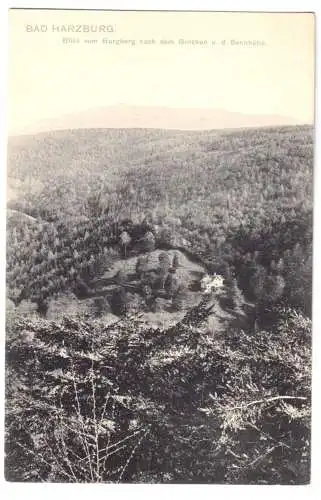 Ansichtskarte, Bad Harzburg, Blick vom Burgberg nach dem Brocken und der Sennhütte, 1906