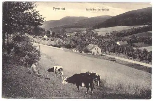 Ansichtskarte, Bad Pyrmont, Partie im Friedental mit Kuhhirten, um 1908