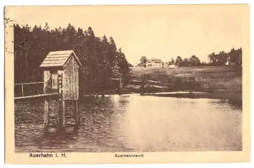 AK, Auerhahn im Harz, Auerhahnteich, 1922