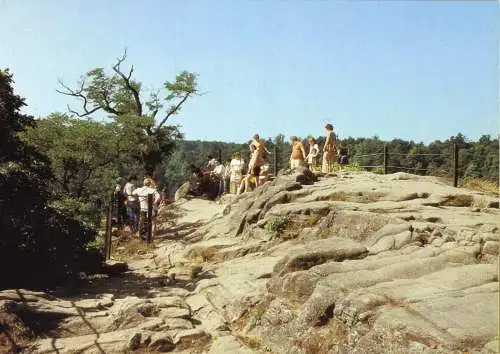 AK, Thale Harz, Kr Quedlinburg, Auf der Roßtrappe, belebt, 1989