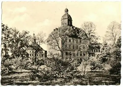 Ansichtskarte, Gotha, Blick aus dem Schloßpark zum Schloß, 1964