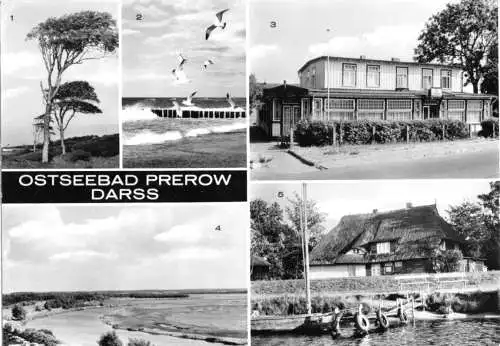 Ansichtskarte, Ostseebad Prerow Darss, fünf Abb., 1981