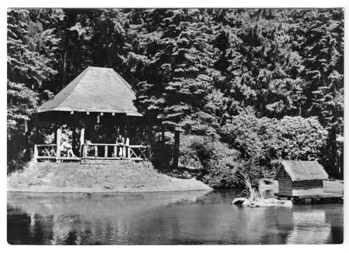 AK, Meerane Kr. Glauchau, Im Stadtpark, 1972