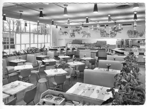 AK, Berlin Tiergarten, Hilton-Hotel, Coffee House, um 1970