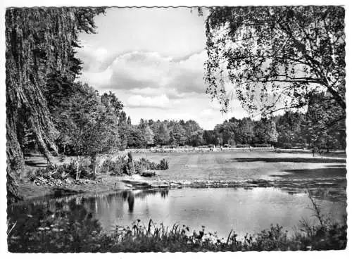 Ansichtskarte, Berlin Wittenau, Partie im Volkspark, um 1962