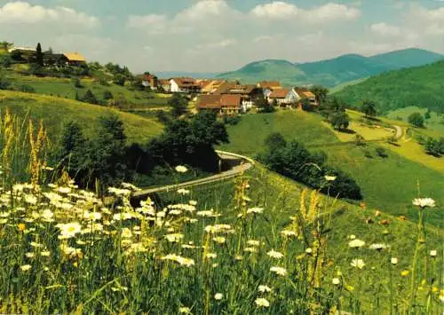 AK, Zell im Wiesental - Pfaffenberg, Totale, um 1991