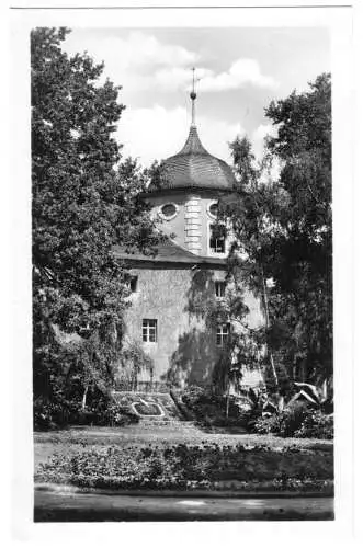 AK, Zittau, Partie an der Blumenuhr, 1955