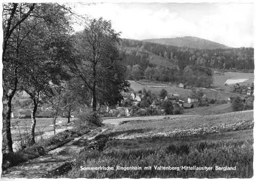 Ansichtskarte, Ringenhain Kr. Bischofswerda, Totale, 1965