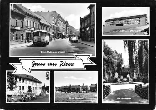 AK, Riesa Elbe, fünf Abb., gestaltet, Bus, 1966