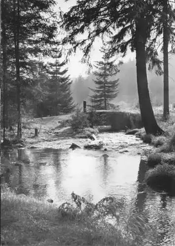 AK, Ehrenfriedersdorf Erzgeb., Greifensteine, Im Greifenbachtal, 1961