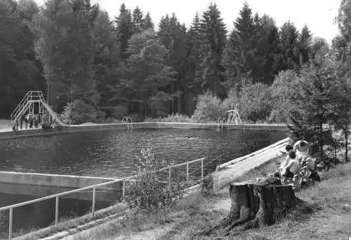 AK, Friedrichsbrunn Kr. Quedlinburg, Waldbad, 1979