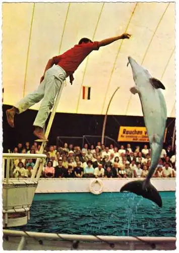 Ansichtskarte, Duisburg, Duisburger Tierpark, Delphin-Schau, um 1966