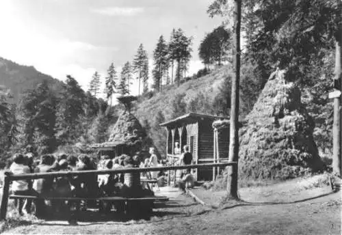 AK, Wernigerode Harz, Köhlerhütten bei Voigtstieg, 1973