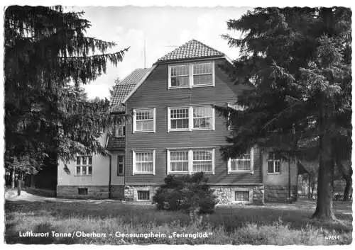 Ansichtskarte, Tanne Oberharz, Genesungsheim Ferienglück, 1961