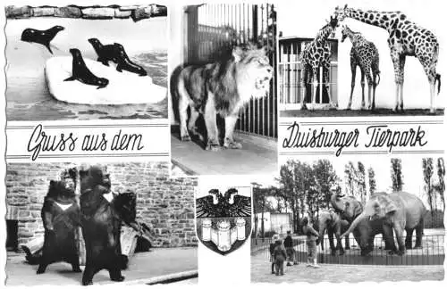 AK, Duisburg, Gruß aus dem Duisburger Tierpark, fünf Abb., 1962