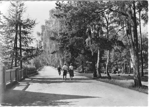 AK, Bad Klosterlausnitz, Hermann-Sachse-Str. am Moorbad, 1964