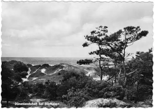 Ansichtskarte, Ostseebad Dierhagen, Dünenlandschaft bei Dierhagen, 1963