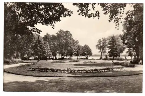 AK, Fürstenberg Havel, Partie im Stadtpark, Version 1, 1957