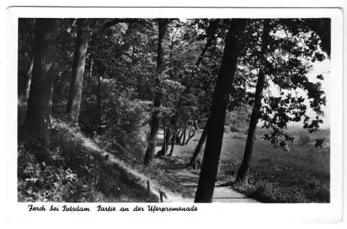 AK, Ferch bei Potsdam, Partie an der Uferpromenade, 1957