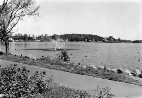 AK, Krakow am See Kr. Güstrow, Seepromenade, 1984