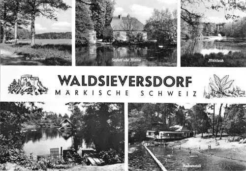 AK, Waldsieversdorf Märkische Schweiz, fünf Abb., gestaltet, 1967