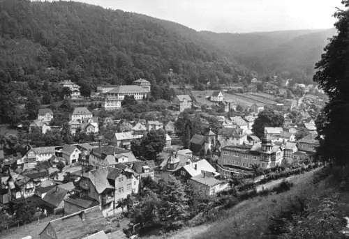 Ansichtskarte, Schwarzburg Thür., Teilansicht 1, 1981