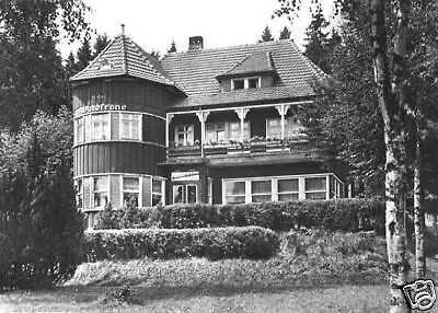 AK, Hasselfelde Harz, Pension Waldkrone, 1974