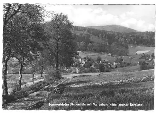 Ansichtskarte, Ringenhain, Totale mit Valtenberg, 1965