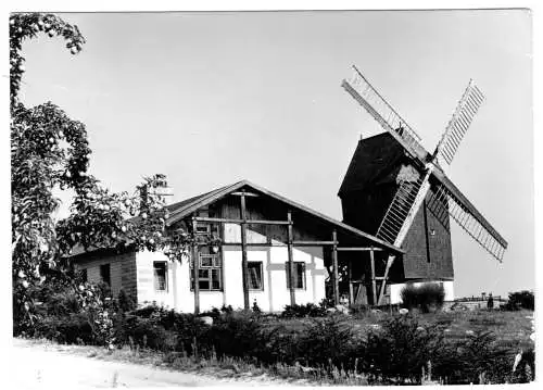 Foto im AK-Format, Neu Fahrland Kr. Potsdam, Mühle, 1981