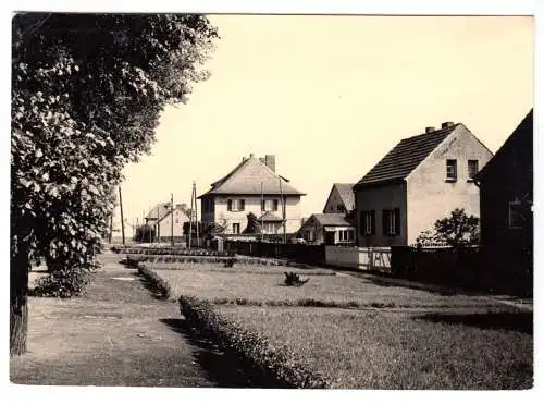 AK, Groß Kreutz Kr. Potsdam, Straßenpartie, 1964