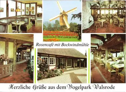 AK, Walsrode, Rosencafé mit Bockwindmühle, sechs Abb., um 1998