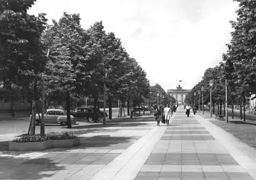 AK, Berlin Mitte, Straße Unter den Linden mit Brandenburger Tor, 1966