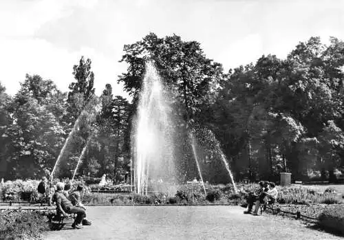 AK, Blankenburg Harz, Partie im Thiepark, 1972