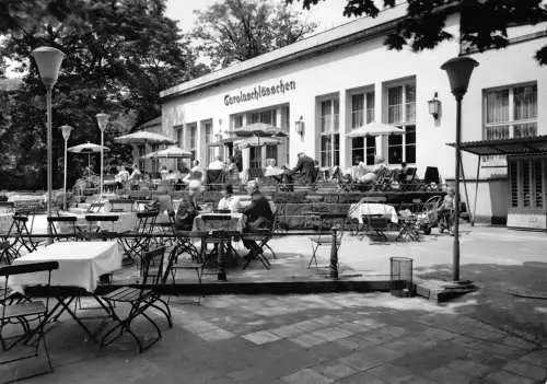 AK, Dresden, Gaststätte Carolaschlößchen im Großen Garten, Terrasse, 1971