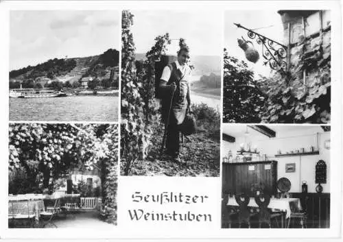 Ansichtskarte, Diesbar - Seußlitz Elbe, Seußlitzer Weinstuben, fünf Abb., 1977