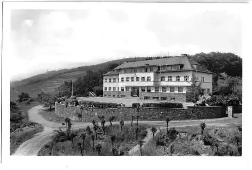 AK, Rüdesheim a. Rhein, Jugendherberge, um 1958